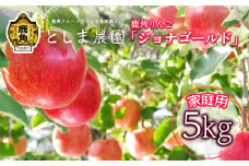 《先行予約》【2025年11月10日発送】鹿角りんご 訳あり「ジョナゴールド」家庭用 約 5kg（12～20玉）【としま農園】リンゴ 完熟 旬 県産りんご 林檎 お中元 お歳暮 贈り物 お見舞い グルメ ギフト 故郷 秋田 あきた 鹿角市 鹿角 送料無料