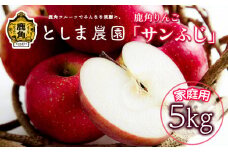 《先行予約》【2026年1月中旬発送】鹿角りんご 訳あり「サンふじ」家庭用 約5kg（12～23玉）【としま農園】リンゴ 完熟 旬 県産りんご 林檎 お中元 お歳暮 贈り物 お見舞い グルメ ギフト 故郷 秋田 あきた 鹿角市 鹿角 送料無料