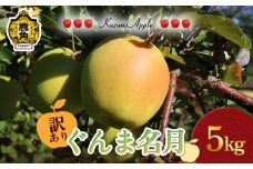 《 先行予約 》訳あり 鹿角りんご「ぐんま名月」5kg（18～20玉前後）【佐藤秀果園】●2025年11月上旬発送開始 リンゴ 林檎 家庭用 訳あり みずみずしい 果汁 完熟 旬 県産りんご お中元 お歳暮 贈り物 お見舞い グルメ ギフト 故郷 秋田 あきた 鹿角市 鹿角 送料無料 