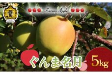 《 先行予約 》 鹿角りんご「ぐんま名月」5kg（14～18玉前後）【佐藤秀果園】●2025年11月上旬発送開始 リンゴ 林檎 贈答用 果汁 完熟 旬 県産りんご お中元 お歳暮 贈り物 お見舞い グルメ ギフト 故郷 秋田 あきた 鹿角市 鹿角 送料無料 