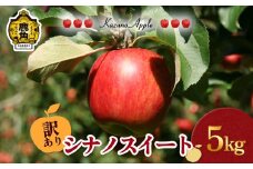 《 先行予約 》 訳あり 鹿角りんご「シナノスイート」 5kg（18～20玉前後）【佐藤秀果園】●2025年10月下旬発送開始 リンゴ 林檎 家庭用 訳あり 果汁 完熟 旬 県産りんご お中元 お歳暮 贈り物 お見舞い グルメ ギフト 故郷 秋田 あきた 鹿角市 鹿角 送料無料