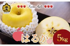 《 先行予約 》 鹿角りんご「はるか」5kg（14～18玉前後）【佐藤秀果園】●2025年12月上旬発送開始 リンゴ 林檎 贈答用 果汁 完熟 旬 県産りんご お中元 お歳暮 贈り物 お見舞い グルメ ギフト 故郷 秋田 あきた 鹿角市 鹿角 送料無料 
