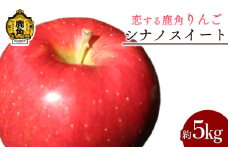 《 先行予約 》 令和7年産 秋田県鹿角産りんご「シナノスイート」約 5kg【恋する鹿角カンパニー】●2025年10月中旬発送開始 かづの りんご 食感 果汁 さっぱり リンゴ 完熟 旬 県産りんご お中元 お歳暮 贈り物 お見舞い グルメ ギフト 故郷 秋田 あきた 鹿角市 鹿角 送料無料 