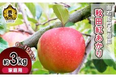 《先行予約》由右衛門果樹園 りんご 家庭用「秋田紅あかり」 約3kg（6～10玉）●2025年11月上旬発送開始【由右衛門果樹園】 林檎 りんご リンゴ 食感 果汁 リンゴ 完熟 お中元 お歳暮 贈り物 お見舞い グルメ ギフト 故郷 秋田 あきた 鹿角市 鹿角 りんご 送料無料 