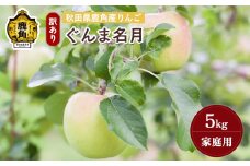 《先行予約》秋田県鹿角産りんご 雪国育ちの 訳あり「ぐんま名月」家庭用 5kg（20～23玉入）【山麓園】●2025年10月下旬発送開始 鹿角りんご 家庭用 食感 果汁 リンゴ 完熟 旬 県産 りんご お中元 お歳暮 贈り物 グルメ ギフト 故郷 秋田 あきた 鹿角市 鹿角 送料無料