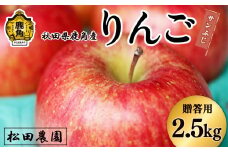 《先行予約》贈答用 りんご「サンふじ」2.5kg（6～9玉前後）【松田農園】●2026年2月上旬発送開始 農家直送 産地直送 こだわり りんご リンゴ 林檎 ふじ フジ 果物 くだもの フルーツ 秋田県 秋田 あきた 鹿角市 鹿角 かづの 2.5KG 2.5㎏