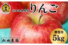 《先行予約》贈答用 りんご「サンふじ」5kg（14～18玉前後）【松田農園】●2026年2月上旬発送開始 農家直送 産地直送 こだわり りんご リンゴ 林檎 ふじ フジ 果物 くだもの フルーツ 秋田県 秋田 あきた 鹿角市 鹿角 かづの 5KG 5㎏