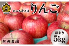 《先行予約》【訳あり】りんご「サンふじ」家庭用 小玉 5kg（20～23玉前後）【松田農園】●2026年2月上旬発送開始 農家直送 産地直送 こだわり りんご リンゴ 林檎 ふじ フジ 果物 くだもの フルーツ 秋田県 秋田 あきた 鹿角市 鹿角 かづの 5KG 5㎏