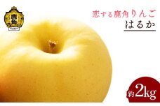 《 先行予約 》令和7年産 秋田県鹿角産りんご「はるか」約 2 kg【恋する鹿角カンパニー】●2025年12月上旬発送開始 かづのりんご 食感 果汁 さっぱり リンゴ 完熟 旬 県産りんご お中元 お歳暮 贈り物 グルメ 秋田 あきた 鹿角市 鹿角 秀 甘い 蜜 送料無料 