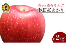 《 先行予約 》令和7年産 秋田県鹿角産りんご「秋田紅あかり」 約 2kg【恋する鹿角カンパニー】●2025年11月中旬発送開始 かづのりんご 食感 果汁 さっぱり リンゴ 完熟 旬 りんご 林檎 お中元 お歳暮 贈り物 お見舞い グルメ ギフト 故郷 秋田 あきた 鹿角市 鹿角 紅あかり 送料無料 