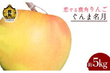 《 先行予約 》令和7年産 秋田県鹿角産りんご「ぐんま名月」約 5kg【恋する鹿角カンパニー】●2025年11月中旬発送開始 かづのりんご 食感 果汁 さっぱり リンゴ 完熟 旬 県産りんご お中元 お歳暮 贈り物 お見舞い グルメ ギフト 故郷 秋田 あきた 鹿角市 鹿角 送料無料 