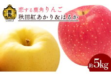 《先行予約》令和7年産 秋田県鹿角産りんご「秋田紅あかり＆はるか」約 5kg 詰め合わせ【恋する鹿角カンパニー】●2025年12月上旬発送開始  かづのりんご 食感 果汁 さっぱり リンゴ 完熟 旬 お歳暮 贈り物 お見舞い グルメ ギフト 故郷 秋田 あきた 鹿角市 鹿角 送料無料 