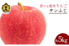 《 先行予約 》令和7年産 秋田県鹿角産りんご「サンふじ」約 5kg【恋する鹿角カンパニー】 ●2025年12月上旬発送開始 かづのりんご 食感 果汁 さっぱり リンゴ 完熟 旬 県産りんご 林檎 お中元 お歳暮 贈り物 お見舞い グルメ ギフト 故郷 秋田 あきた 鹿角市 鹿角 送料無料 