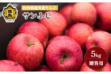 《先行予約》秋田県鹿角産りんご 雪国育ちの「サンふじ」5kg（14～23玉入）【山麓園】●2025年11月下旬発送開始 秋田県 鹿角産 りんご 食感 果汁 リンゴ 完熟 旬 県産 りんご 林檎 お中元 お歳暮 贈り物 グルメ ギフト 故郷 秋田 あきた 鹿角市 鹿角 蜜 送料無料