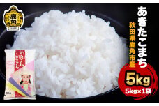 《先行予約》令和7年産 秋田県鹿角産 あきたこまち 5kg ●2025年10月中旬発送開始【ハンサム侍】米 お米 白米 精米 県産米 国産米 秋田県 あきた 鹿角市 鹿角 送料無料 