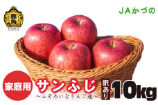 《先行予約》訳あり 鹿角りんご「サンふじ」ふぞろいなりんご達 10kg【JAかづの】●2026年1月中旬頃発送開始 家庭用 規格外 お徳用 林檎 リンゴ 完熟 蜜 10キロ 10K 10k 10KG 10 箱入り 旬 県産りんご お中元 お歳暮 贈り物 お見舞い ギフト 秋田県 秋田 あきた 鹿角市 鹿角 送料無料 