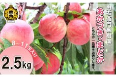 かづの北限の桃『あかつき／まどか』約 2.5kg（8～11玉入り）●2025年8月中旬発送開始 【由右衛門果樹園】 桃 もも モモ お盆 お見舞い 内祝い おすそ分け 完熟 国産桃 お歳暮 贈り物 贈答用 グルメ ギフト 故郷 秋田 あきた 鹿角市 鹿角 送料無料 