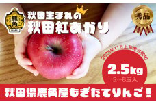 《 先行予約 》秋田県鹿角産りんご 秀品 「 秋田紅あかり 」 約 2.5kg （5～8玉入）●2025年11月上旬発送開始 【ケーケー農園】かづのりんご 食感 果汁 さっぱり リンゴ 完熟 旬 県産りんご 林檎 お中元 お歳暮 贈り物 お見舞い グルメ ギフト 故郷 秋田 あきた 鹿角市 鹿角 送料無料