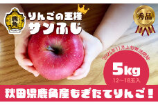 《 先行予約 》 秋田県鹿角産 りんご 秀品 サンふじ 約 5kg（12～18玉入） ●2025年11月上旬発送開始 【ケーケー農園】かづのりんご 食感 果汁 さっぱり リンゴ 完熟 旬 県産りんご 林檎 お中元 お歳暮 贈り物 お見舞い グルメ ギフト 故郷 秋田 あきた 鹿角市 鹿角 送料無料 