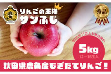 《 先行予約 》 秋田県鹿角産 りんご 秀品 サンふじ 約 5kg（12～18玉入） ●2025年11月上旬発送開始 【ケーケー農園】かづのりんご 食感 果汁 さっぱり リンゴ 完熟 旬 県産りんご 林檎 お中元 お歳暮 贈り物 お見舞い グルメ ギフト 故郷 秋田 あきた 鹿角市 鹿角 送料無料 