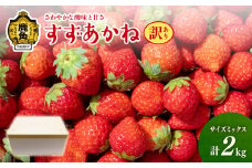 【訳あり】鹿角産 いちご「すずあかね」約2kg サイズMIX【神田農園】 ●2025年7月下旬発送開始  おすそ分け 県産いちご 国産いちご いちご 苺 イチゴ お中元 お歳暮 母の日 父の日 贈り物 贈答用 ホワイトデー ケーキ バースデー グルメ 故郷 秋田 あきた 鹿角市 鹿角 送料無料 