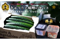 秋田県鹿角産 リバーサイドきゅうりと味噌セット（きゅうり約20本／味噌2種類）【優作ファーム】●2025年6月上旬発送開始 産地直送 農家直送 秋田県産 秋田県 秋田 あきた 鹿角市 鹿角 かづの きゅうり キュウリ 胡瓜 新鮮 みそ 味噌 セット