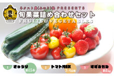 令和7年産 ネクスト農（みのり）塾 PRESENTS 旬果菜詰め合わせセット「きゅうり・トマト・いちご（すずあかね）」【優作ファーム】●2025年7月下旬発送開始 野菜 旬 果物 くだもの フルーツ 食べ比べ セット 詰め合わせ 贅沢 特産 国産 鹿角産 秋田県 秋田 あきた 鹿角市 鹿角 かづの ギフト プレゼント