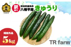 秋田県鹿角市八幡平産 不揃いなきゅうり 5kg【TR farm】 ●2025年7月上旬発送開始 徳用 規格外 キュウリ 野菜 夏野菜 新鮮 旬 食べ頃 詰め合わせ お中元 お取り寄せ グルメ ギフト 人気 おすすめ 秋田 鹿角市 送料無料 