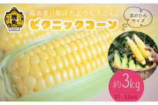 秋田県鹿角産 朝採り ピクニックコーン 約3kg（11～13本）【さとう農園】●2025年7月下旬発送開始 朝採り 甘い 秋田県 鹿角産 新鮮 野菜 安全 トウモロコシ スイートコーン 中元 お歳暮 母の日 父の日 グルメ ギフト 故郷 秋田 あきた 鹿角市 鹿角 送料無料 