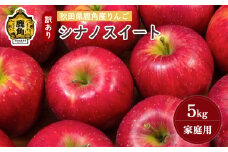 《先行予約》秋田県鹿角産りんご 雪国育ちの 訳あり「シナノスイート」家庭用 5kg（20～23玉入）【山麓園】●2025年10月下旬発送開始 鹿角りんご 家庭用 食感 果汁 リンゴ 完熟 旬 県産 りんご お中元 お歳暮 贈り物 グルメ ギフト 故郷 秋田 あきた 鹿角市 鹿角 送料無料