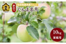 《先行予約》秋田県鹿角産りんご 雪国育ちの 訳あり「ぐんま名月」家庭用 10kg（40～46玉入）【山麓園】●2025年10月下旬発送開始 鹿角りんご 家庭用 食感 果汁 リンゴ 完熟 旬 県産 りんご お中元 お歳暮 贈り物 グルメ ギフト 故郷 秋田 あきた 鹿角市 鹿角 送料無料