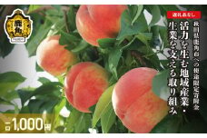 《返礼品なし》寄附 1,000円 使途：3. 活力を生む地域産業・生業を支える取り組み【鹿角市】