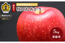《先行予約》秋田県鹿角産りんご 雪国育ちの 訳あり「秋田紅あかり」家庭用 5kg（13～18玉入）【山麓園】●2025年11月上旬発送開始 鹿角りんご 家庭用 食感 果汁 リンゴ 完熟 旬 県産 りんご お中元 お歳暮 贈り物 グルメ ギフト 故郷 秋田 あきた 鹿角市 鹿角 送料無料 