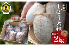 《先行予約》【訳あり】秋田県鹿角市八幡平産 松館しぼり大根 2kg（ 5～6個 ）【TR farm】 ●2025年11月上旬発送開始 薬味大根 GI 地理的表示登録 薬味 大根 ダイコン 野菜 地大根 伝統野菜 日本一 辛い 大根おろし ギフト お中元 お歳暮 ふるさと 返礼品 鹿角市 秋田 送料無料 