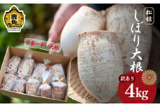 《先行予約》【訳あり】秋田県鹿角市八幡平産 松館しぼり大根 4kg（ 10～15個 ）【TR farm】●2025年11月上旬発送  薬味大根 GI 地理的表示登録 薬味 大根 ダイコン 野菜 地大根 伝統野菜 日本一 辛い 大根おろし ギフト お中元 お歳暮 ふるさと 返礼品 鹿角市 秋田 送料無料 