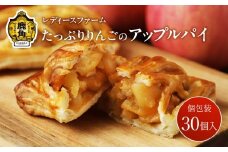 たっぷりりんごの アップルパイ 30個入（箱入り）【レディースファーム】小分け おすそ分け スイーツ りんご お菓子 おやつ 日持ち お中元 お歳暮 母の日 贈り物 グルメ ギフト 故郷 秋田 あきた 鹿角 送料無料 