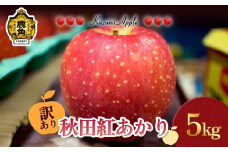 《 先行予約 》訳あり 鹿角りんご「秋田紅あかり」5kg（18～20玉前後）【佐藤秀果園】●2025年11月上旬発送開始 リンゴ 林檎 家庭用 訳あり みずみずしい 果汁 完熟 旬 県産りんご お中元 お歳暮 贈り物 お見舞い グルメ ギフト 故郷 秋田 あきた 鹿角市 鹿角 送料無料 