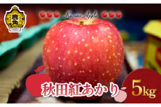 《 先行予約 》 鹿角りんご「秋田紅あかり」5kg（14～18玉前後）【佐藤秀果園】●2025年11月上旬発送開始 リンゴ 林檎 贈答用 果汁 完熟 旬 県産りんご お中元 お歳暮 贈り物 お見舞い グルメ ギフト 故郷 秋田 あきた 鹿角市 鹿角 送料無料 
