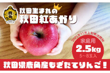 《 先行予約 》訳あり 秋田県鹿角産りんご 家庭用 「 秋田紅あかり 」 約 2.5kg（5～8玉入）●2025年11月上旬発送開始 【ケーケー農園】鹿角りんご かづのりんご 食感 果汁 さっぱり リンゴ 完熟 旬 県産りんご 林檎 贈り物 お見舞い グルメ ギフト 故郷 秋田 あきた 鹿角市 鹿角 送料無料 