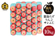 《 先行予約 》【訳あり】葉取らずりんご！ サンふじ 家庭用 小玉 10kg（46～50玉）【録政園】●2025年11月中旬発送開始 葉とらず みずみずしい 果汁 リンゴ 林檎 完熟 旬 県産りんご お中元 お歳暮 贈り物 お見舞い グルメ ギフト 故郷 秋田県鹿角市産 送料無料