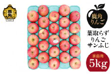 《 先行予約 》【訳あり】葉取らずりんご！ サンふじ 家庭用 小玉 5kg（23～25玉）【録政園】●2025年11月中旬発送開始 葉とらず みずみずしい 果汁 リンゴ 林檎 完熟 旬 県産りんご お中元 お歳暮 贈り物 お見舞い グルメ ギフト 故郷 秋田県鹿角市産 送料無料