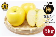 《 先行予約 》《極》葉取らずりんご！ シナノゴールド 5kg（13～20玉）【録政園】●2025年11月中旬発送開始  葉とらず みずみずしい 果汁 リンゴ 林檎 完熟 旬 県産りんご お中元 お歳暮 贈り物 お見舞い グルメ ギフト 故郷 秋田県鹿角市産 送料無料