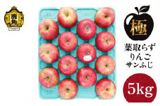 《 先行予約 》《極》葉取らずりんご！ サンふじ 5kg（13～20玉）【録政園】●2025年11月中旬発送開始 葉とらず みずみずしい 果汁 リンゴ 林檎 完熟 旬 県産りんご お中元 お歳暮 贈り物 お見舞い グルメ ギフト 故郷 秋田県鹿角市産 送料無料