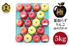 《 先行予約 》《極》葉取らずりんご！ 3～5品種 詰め合わせ 5kg（13～20玉）品種おまかせ【録政園】●2025年11月中旬発送開始 葉とらず みずみずしい 果汁 リンゴ 林檎 完熟 旬 県産りんご お中元 お歳暮 贈り物 お見舞い グルメ ギフト 故郷 秋田県鹿角市産 送料無料