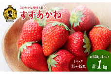 鹿角産いちご「すずあかね」約250g×4パック（1パック:35～42粒入り）【神田農園】●2025年7月上旬発送開始 県産いちご 国産いちご いちご 苺 イチゴ 新鮮 旬 採れたて 贈り物 手作り ケーキ 誕生日 バースデー グルメ デザート 故郷 秋田 あきた 鹿角市 鹿角 農家直送 産地直送