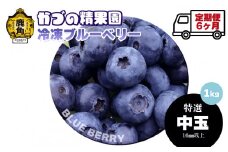 《先行予約》【定期便】ブルーベリー（冷凍）特選 中玉 1kg × 6ヶ月 【かづの精果園】●2025年10月上旬発送開始 冷凍 栄養 効果 アントシアニン サプリ 藍苺 ベリー レシピ ジャム スムージー アサイー アイス ヨーグルト 自然 秋田県 秋田 あきた 鹿角市 鹿角 かづの