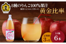 【定期便 3ヵ月】木村さんちの葉取らずりんご100％果汁 りんごジュース 1L×6本【録政園】 葉とらず はとらず 林檎 リンゴ りんご 完熟 極 甘い フレッシュ 果物 くだもの フルーツ 秋田県 秋田 あきた 鹿角市 鹿角 かづの ジュース
