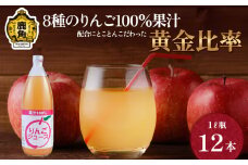 木村さんちの葉取らずりんご100％果汁 りんごジュース 1L×12本【録政園】 葉とらず はとらず 林檎 リンゴ りんご 完熟 極 甘い フレッシュ 果物 くだもの フルーツ 秋田県 秋田 あきた 鹿角市 鹿角 かづの ジュース