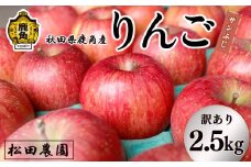 《先行予約》【訳あり】りんご「サンふじ」家庭用 小玉 2.5kg【松田農園】●2026年1月15日発送開始 農家直送 産地直送 こだわり りんご リンゴ 林檎 ふじ フジ 果物 くだもの フルーツ 秋田県 秋田 あきた 鹿角市 鹿角 かづの 2.5KG 2.5㎏