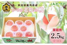 JA 桃 かづの北限の桃 家庭用 約 2.5kg ( 6～8玉 ) 【JAかづの】●2025年9月上旬発送開始 桃 光センサー 訳あり もも モモ 甘い 果物 フルーツ くだもの グルメ お取り寄せ 人気 ランキング お中元 お歳暮 ギフト 故郷 秋田 あきた 鹿角市 鹿角 送料無料 